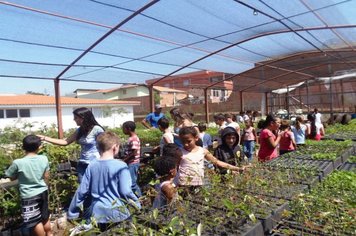 Escola Zely visita o Viveiro de Mudas 