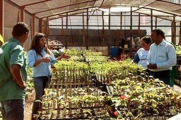 Meio Ambiente recebe visita técnica 