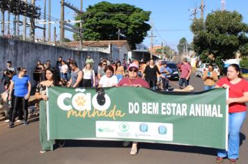 2ª  Cãominhada conscientiza à população cerqueirense sobre a Defesa e Bem-Estar Animal 
