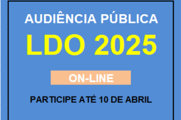 Audiência Pública LDO 2025