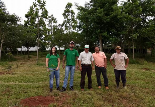 Meio Ambiente e Moura Leite efetuam o plantio de árvores